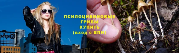 бутират Алексеевка