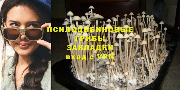 spice Алзамай